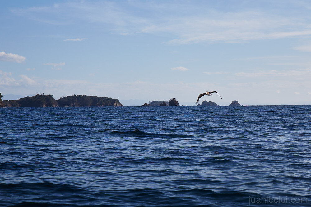 Vacaciones 2014 - Boca Chica 1 - Isla Secas - Golfo de Chiriqui-51.CR2.p